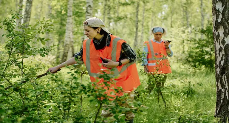 Viltnemnda: Norway Official Municipal Wildlife Board Roles & Laws